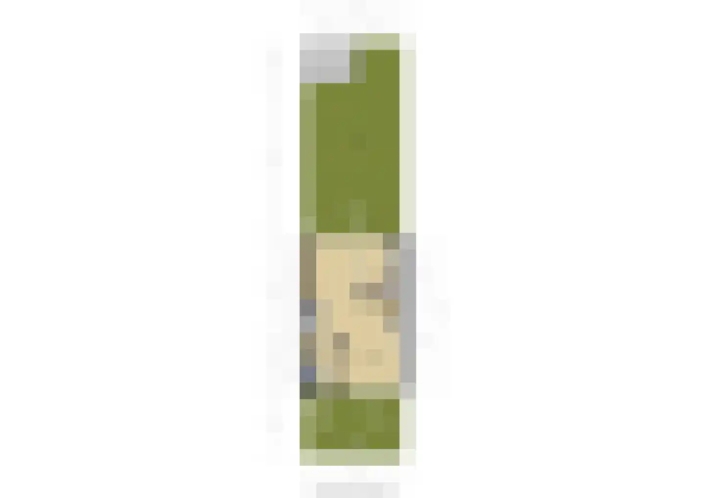Spiegheldreef 43 Leiderdorp thumbnail 40