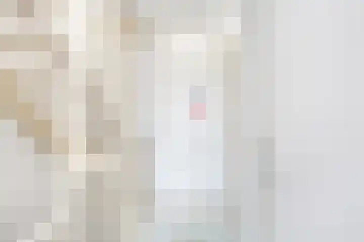 Spieghelhof 18 Nijmegen thumbnail 15