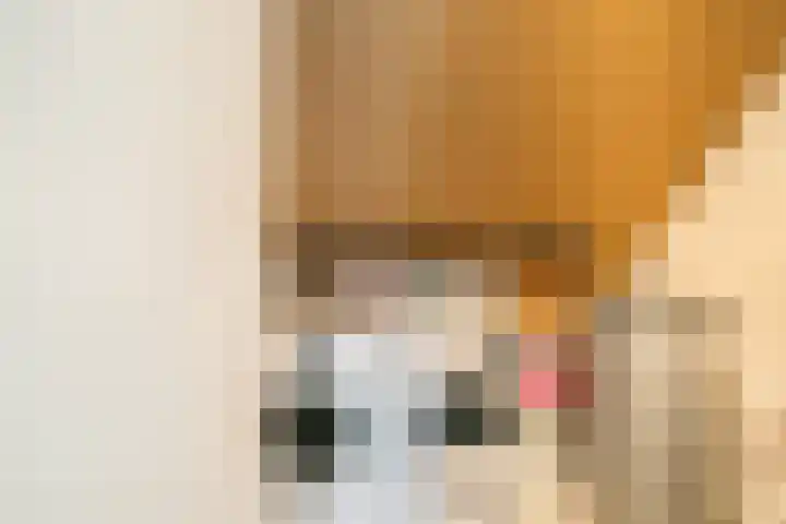 Spieghelhof 18 Nijmegen thumbnail 29