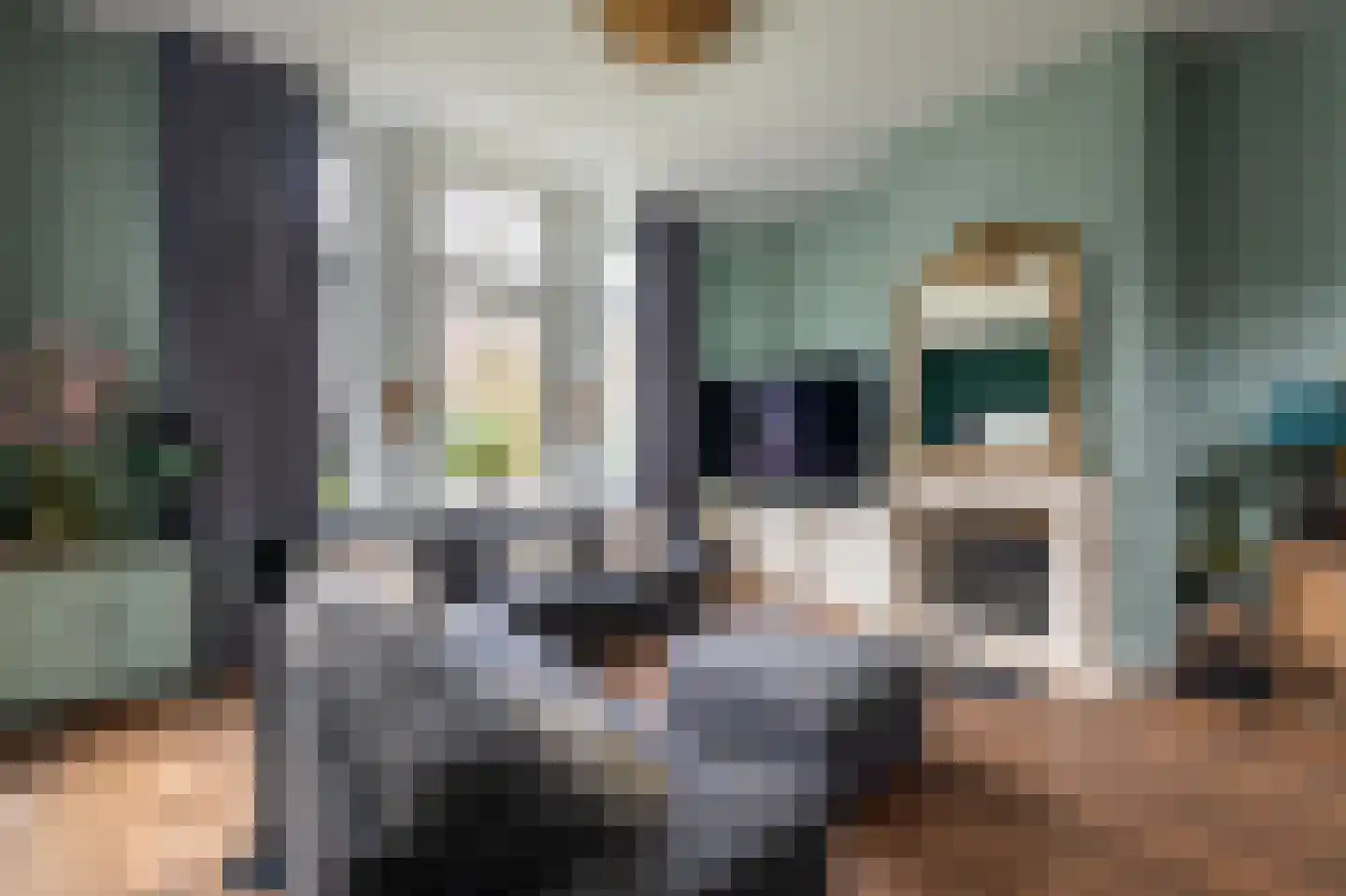 Spieghellaan 4 Hilversum thumbnail 9