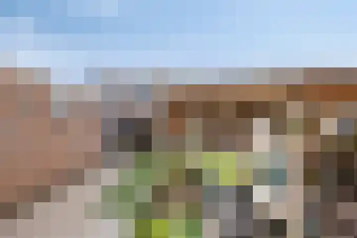Spieghelstraat 10 Harderwijk thumbnail 26