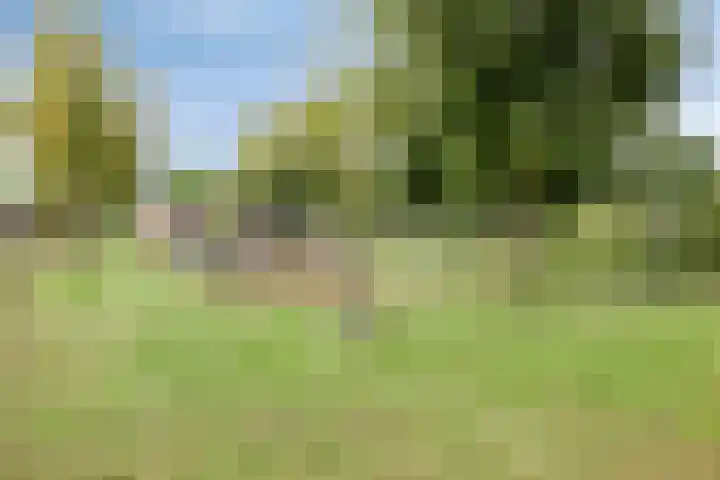 Spieghelstraat 10 Harderwijk thumbnail 35