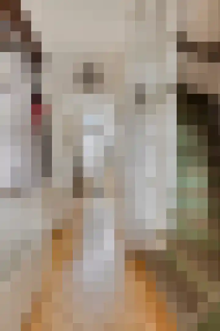 Spieghelstraat 10 Harderwijk thumbnail 5