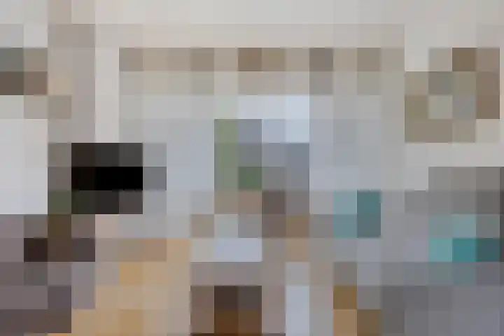 Spieghelstraat 10 Harderwijk thumbnail 6