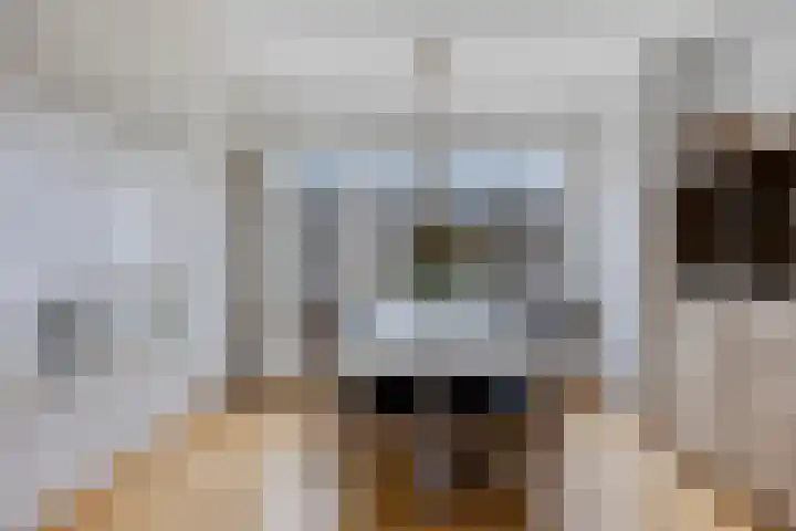 Spieghelstraat 10 Harderwijk thumbnail 8