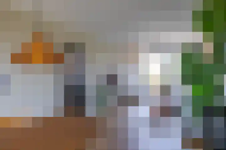 Spieghelstraat 111 Groningen thumbnail 11