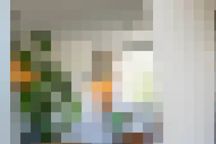 Spieghelstraat 111 Groningen thumbnail 12