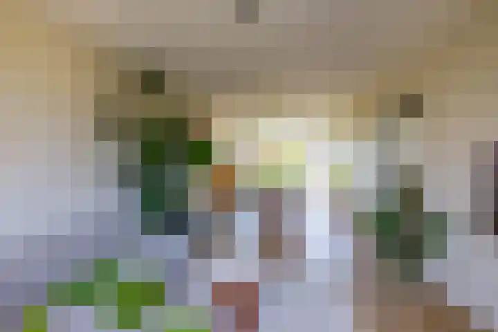 Spieghelstraat 111 Groningen thumbnail 13