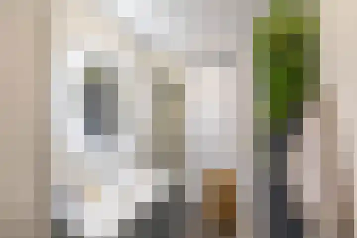 Spieghelstraat 111 Groningen thumbnail 29