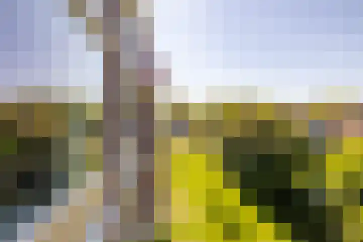 Spieghelstraat 111 Groningen thumbnail 33