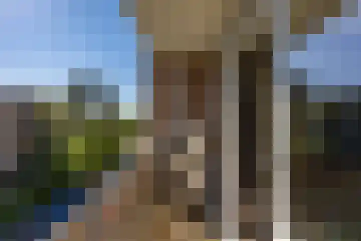 Spieghelstraat 113 Groningen thumbnail 16