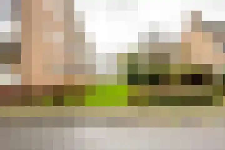 Spieghelstraat 115 Groningen thumbnail 33