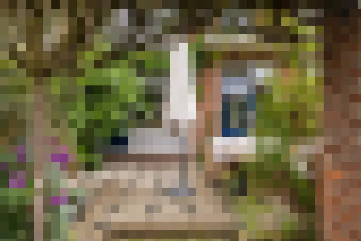 Spieghelstraat 12 Dordrecht thumbnail 19