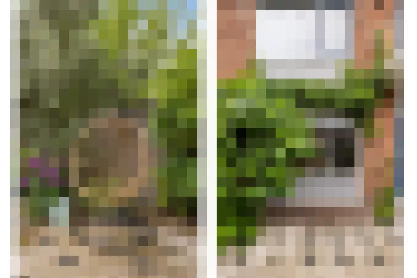Spieghelstraat 12 Dordrecht thumbnail 21