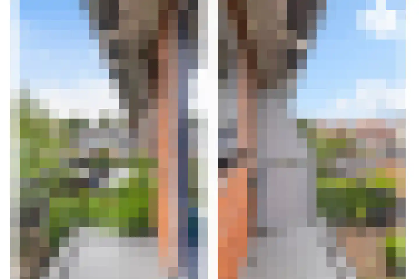 Spieghelstraat 12 Dordrecht thumbnail 30