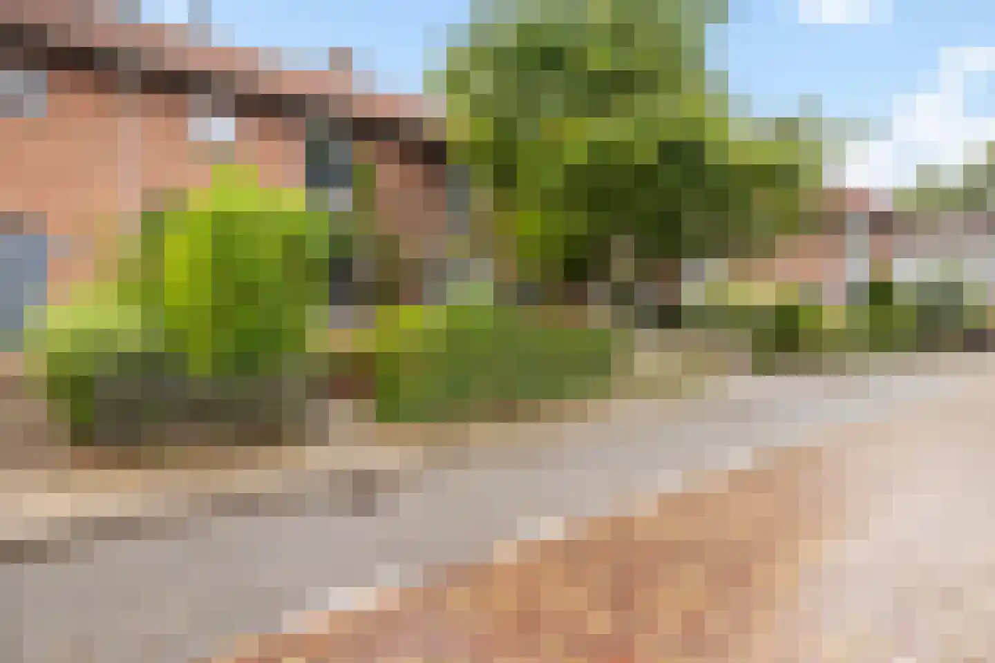 Spieghelstraat 12 Dordrecht thumbnail 34