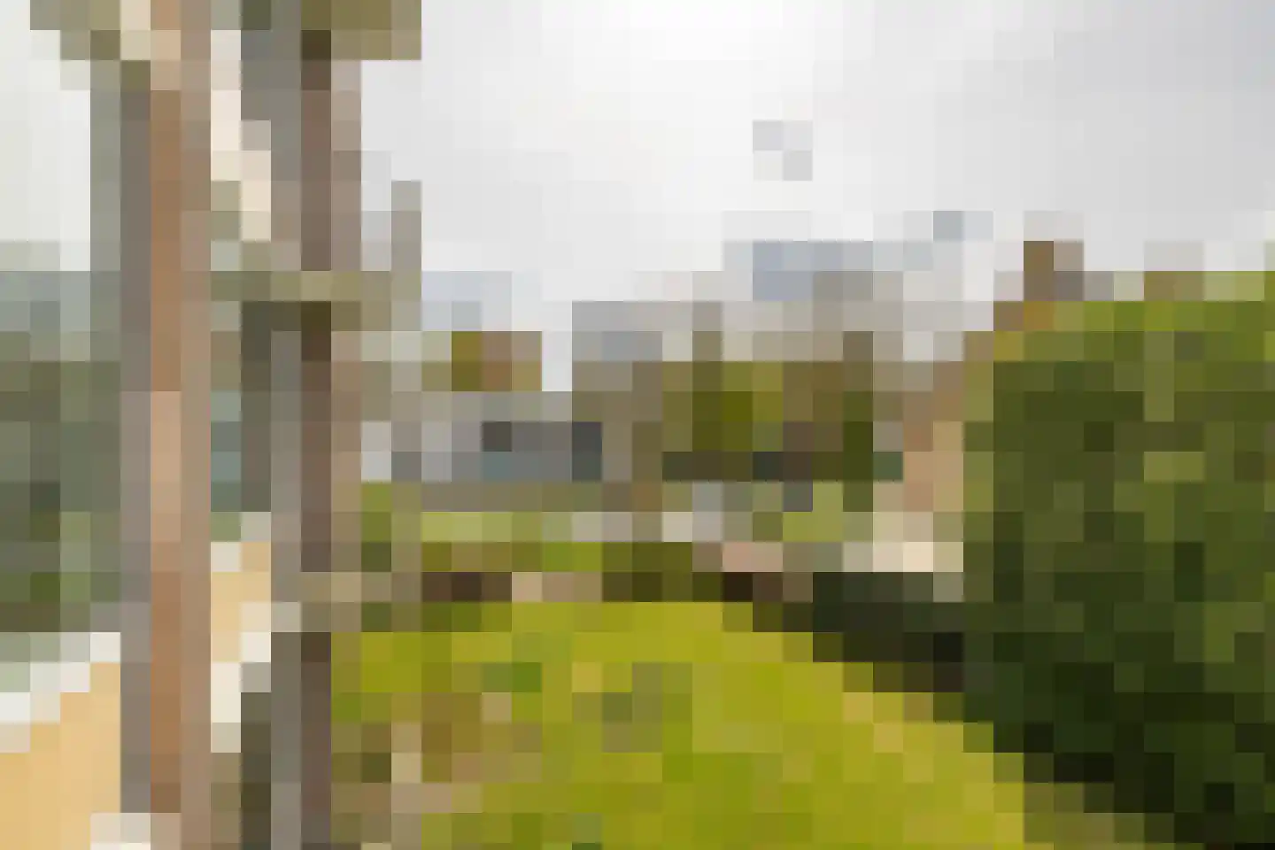 Spieghelstraat 123 Groningen thumbnail 14