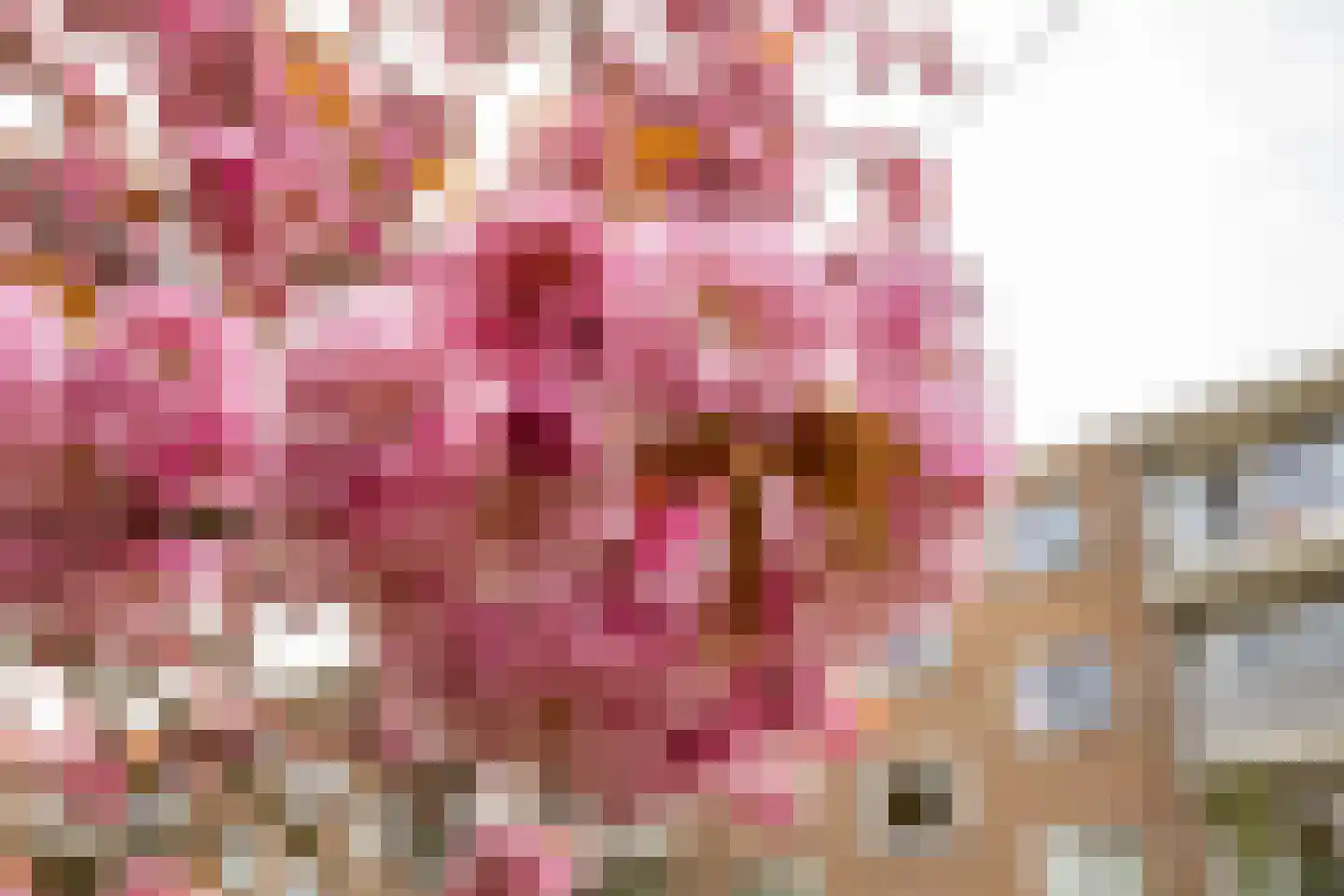 Spieghelstraat 123 Groningen thumbnail 5