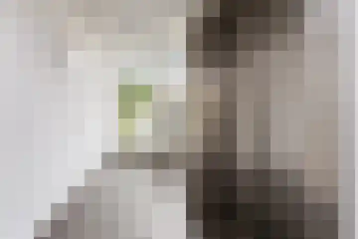 Spieghelstraat 14 22 Groningen thumbnail 4