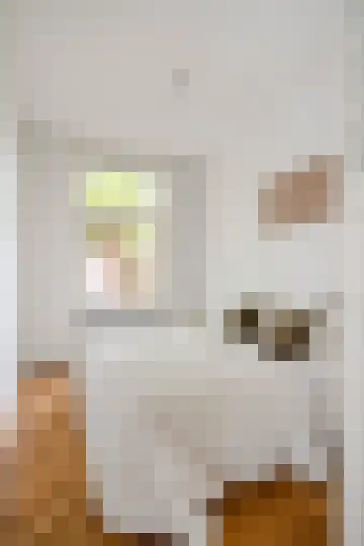 Spieghelstraat 14 Leiden thumbnail 24