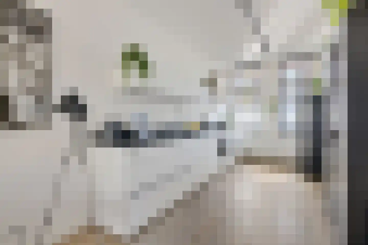 Spieghelstraat 25 Utrecht thumbnail 11