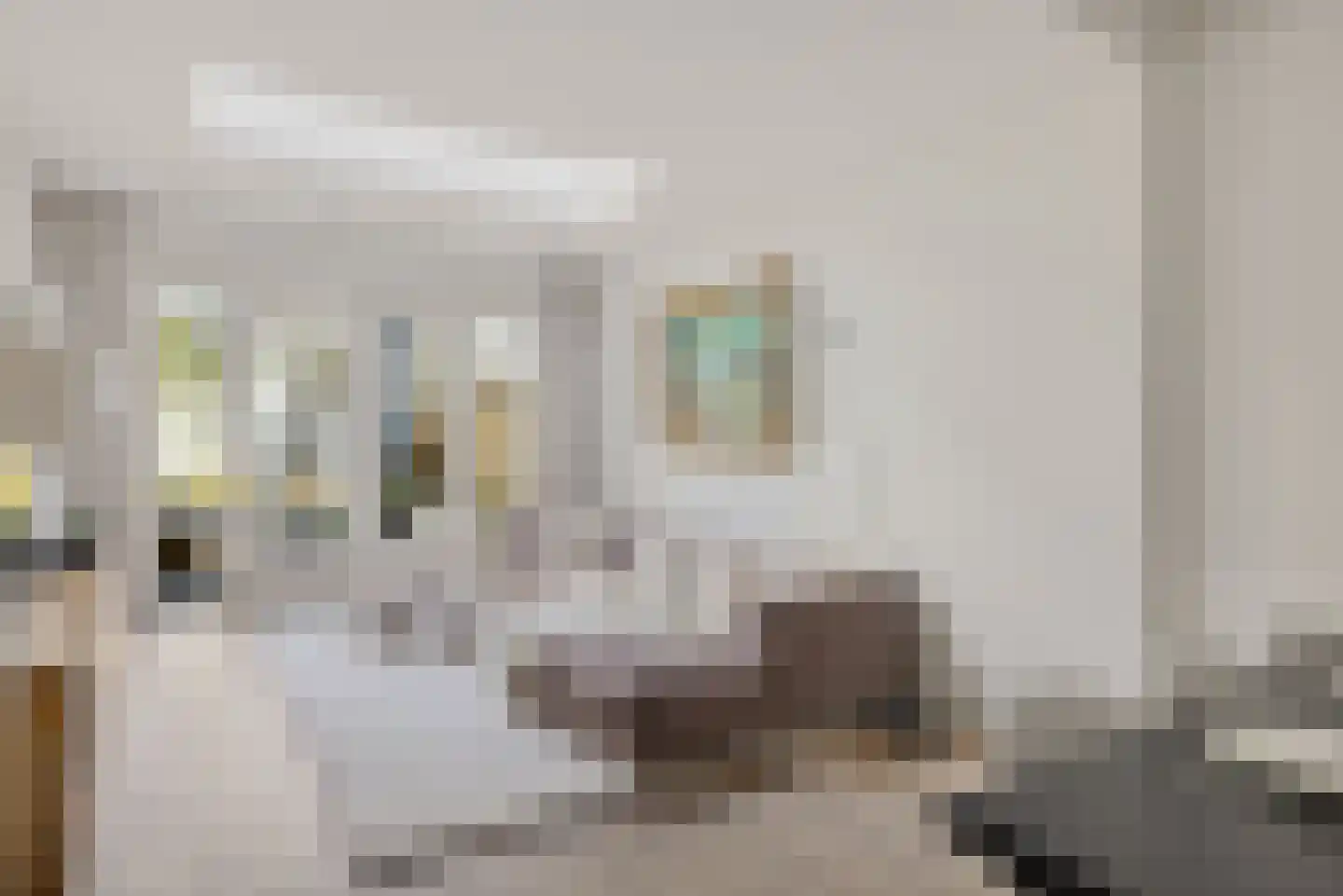Spieghelstraat 25 Utrecht thumbnail 17