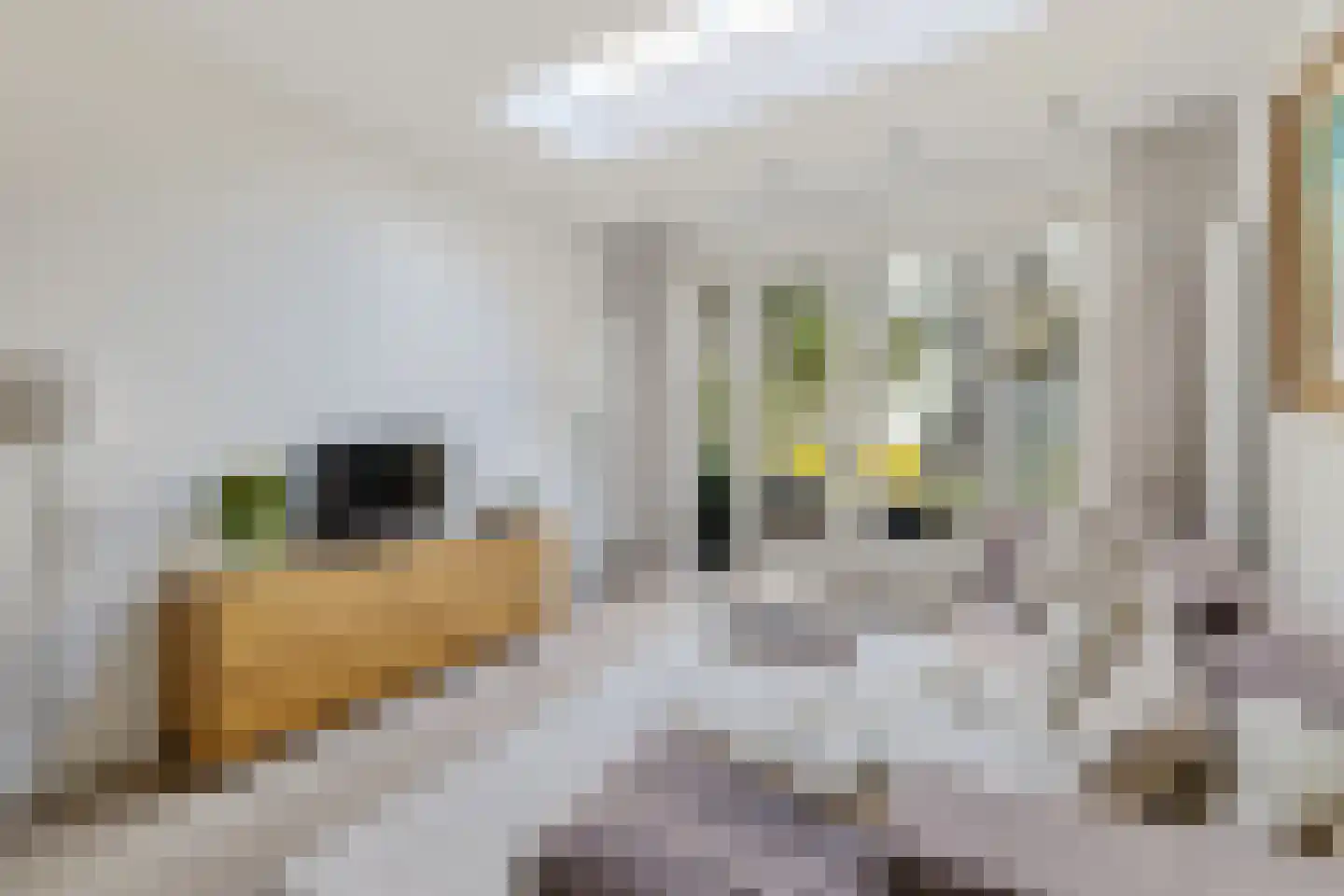Spieghelstraat 25 Utrecht thumbnail 18