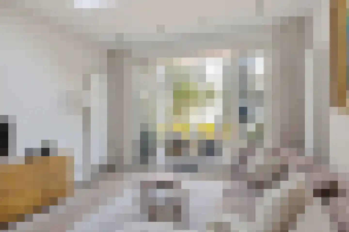 Spieghelstraat 25 Utrecht thumbnail 19