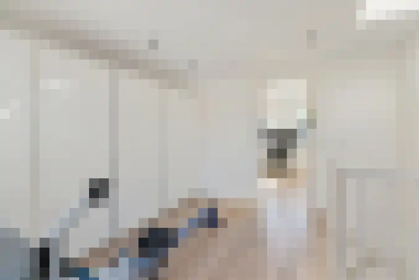 Spieghelstraat 25 Utrecht thumbnail 41