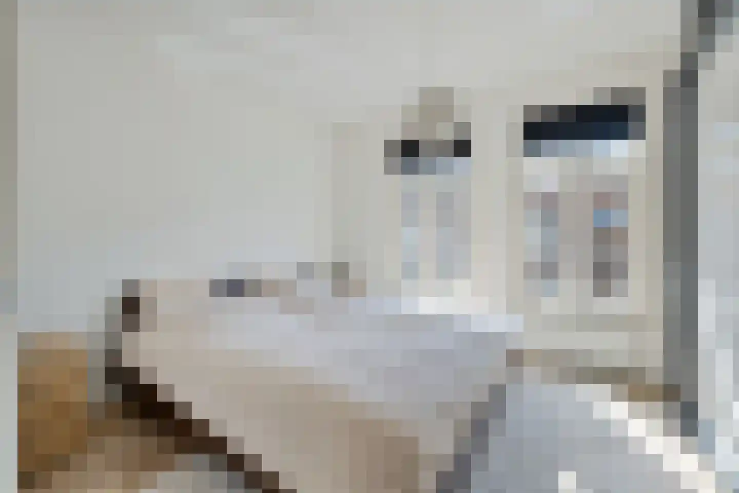 Spieghelstraat 25 Utrecht thumbnail 5
