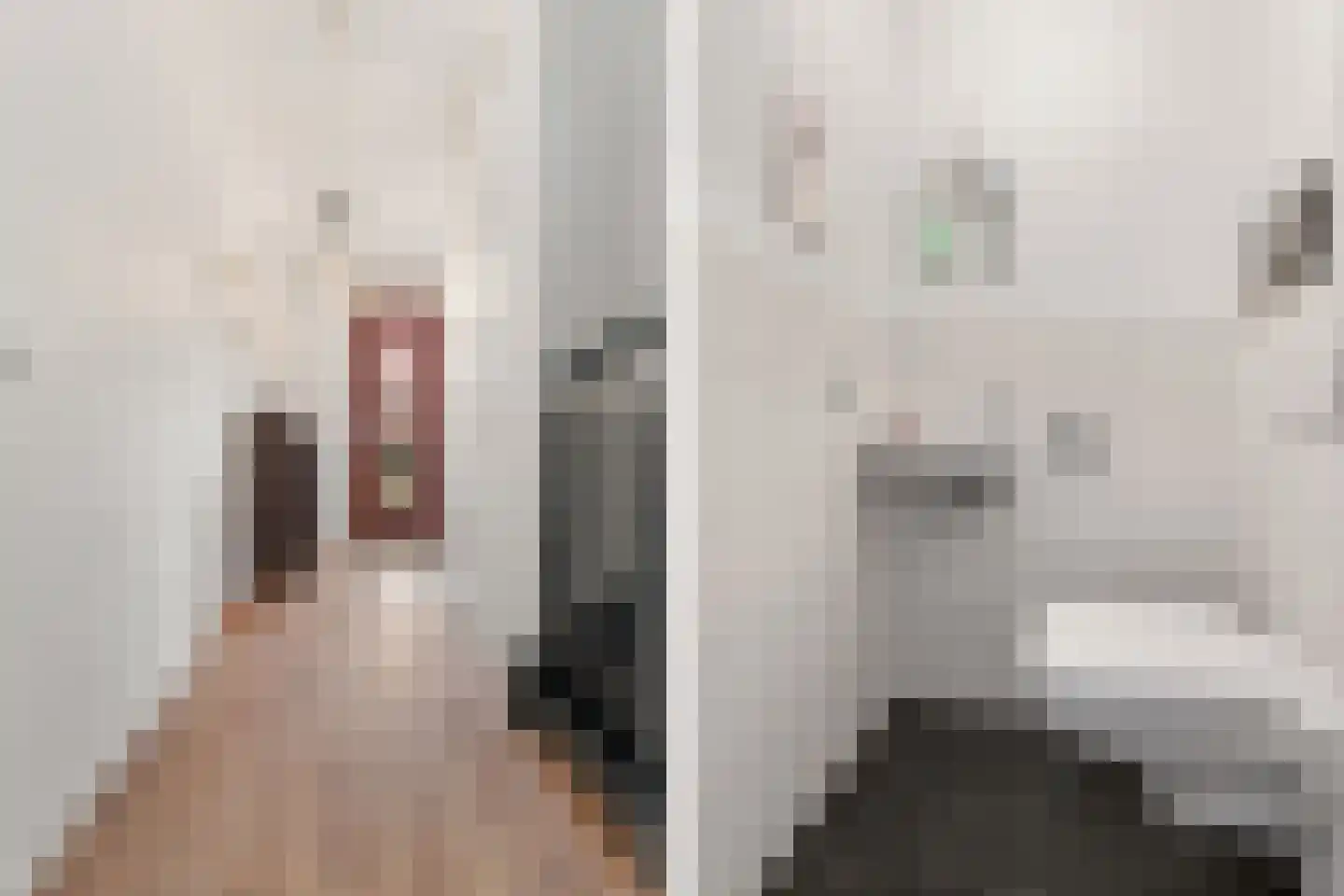 Spieghelstraat 3 Nijmegen thumbnail 22