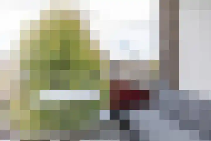Spieghelstraat 30 Groningen thumbnail 18