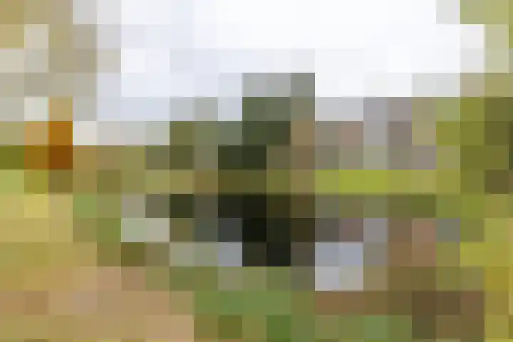 Spieghelstraat 30 Groningen thumbnail 42