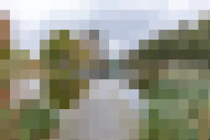 Spieghelstraat 30 Groningen thumbnail 43