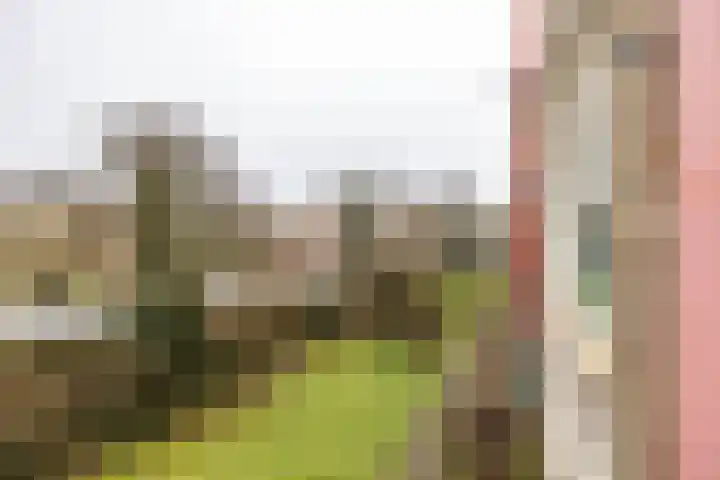 Spieghelstraat 38 Groningen thumbnail 25