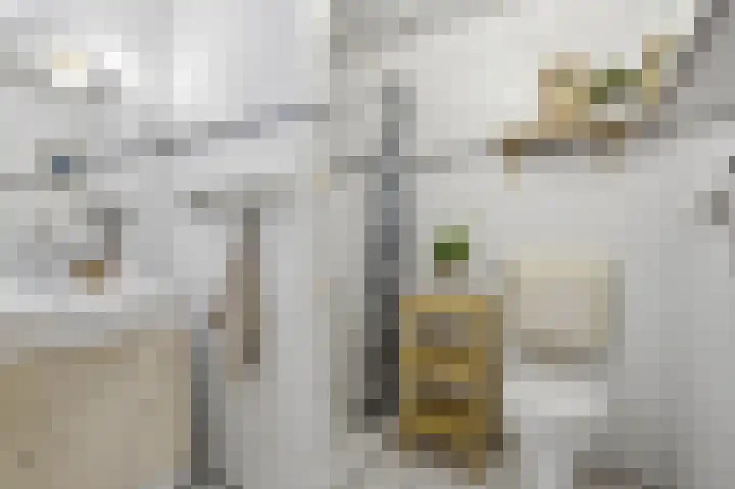 Spieghelstraat 45 Utrecht thumbnail 11