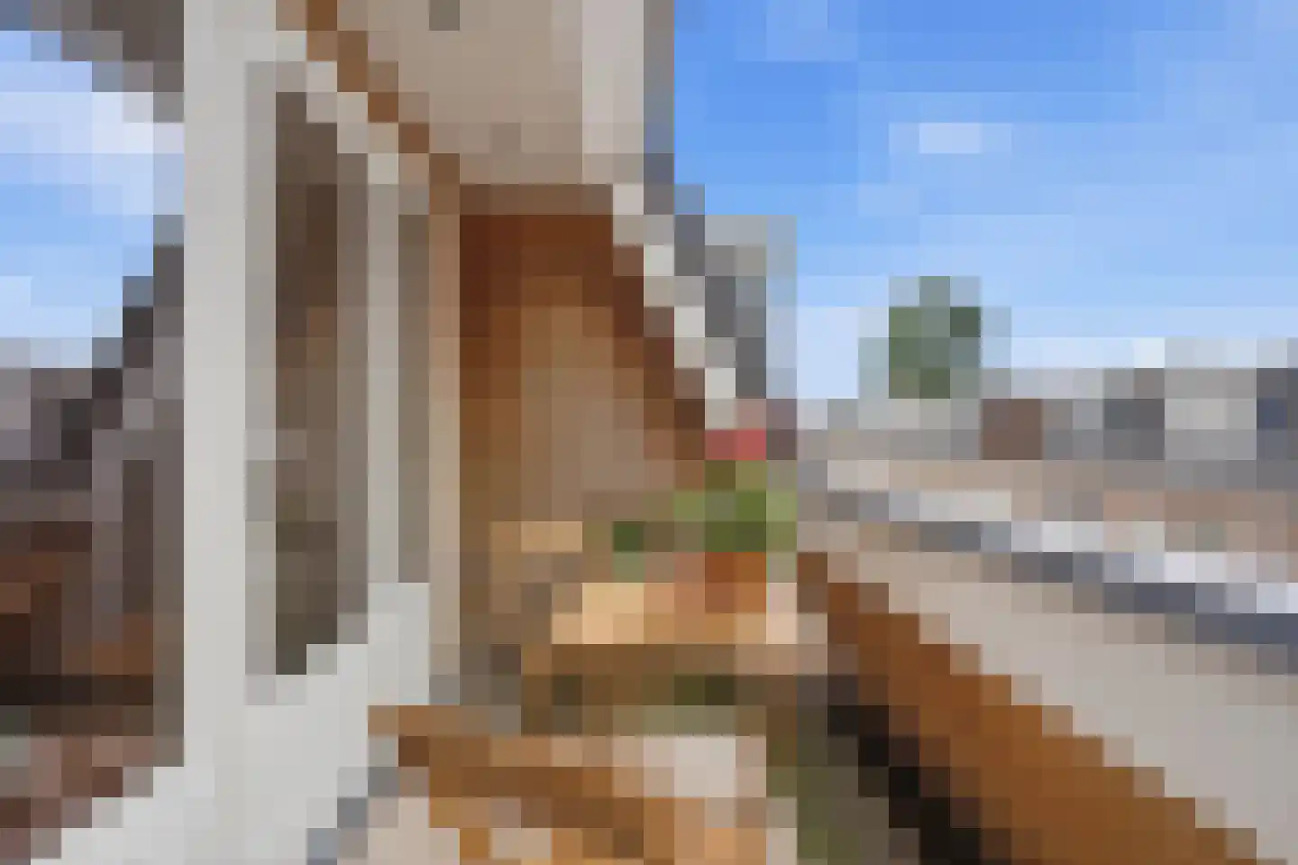 Spieghelstraat 45 Utrecht thumbnail 26