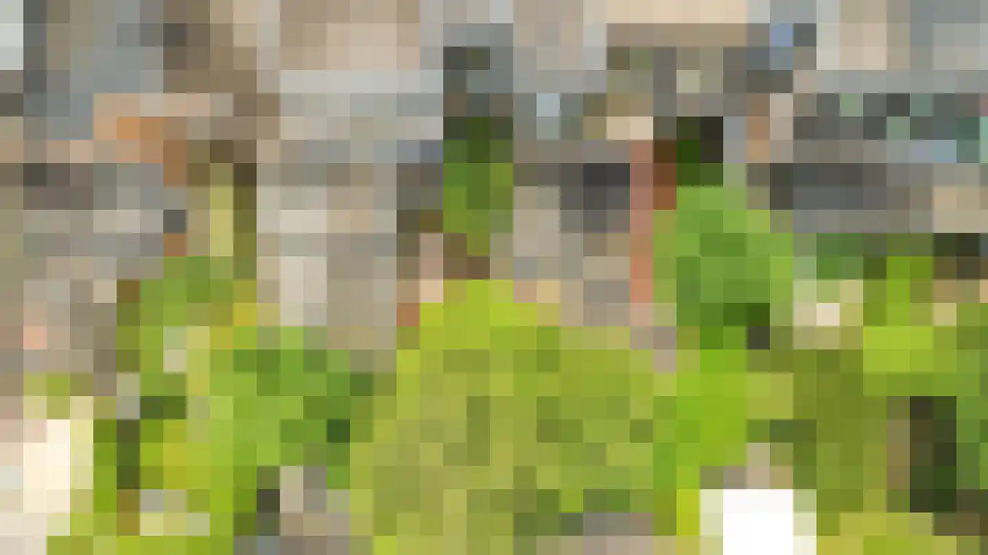 Spieghelstraat 45 Utrecht thumbnail 31