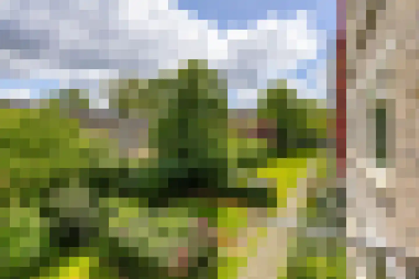 Spieghelstraat 54 Groningen thumbnail 20