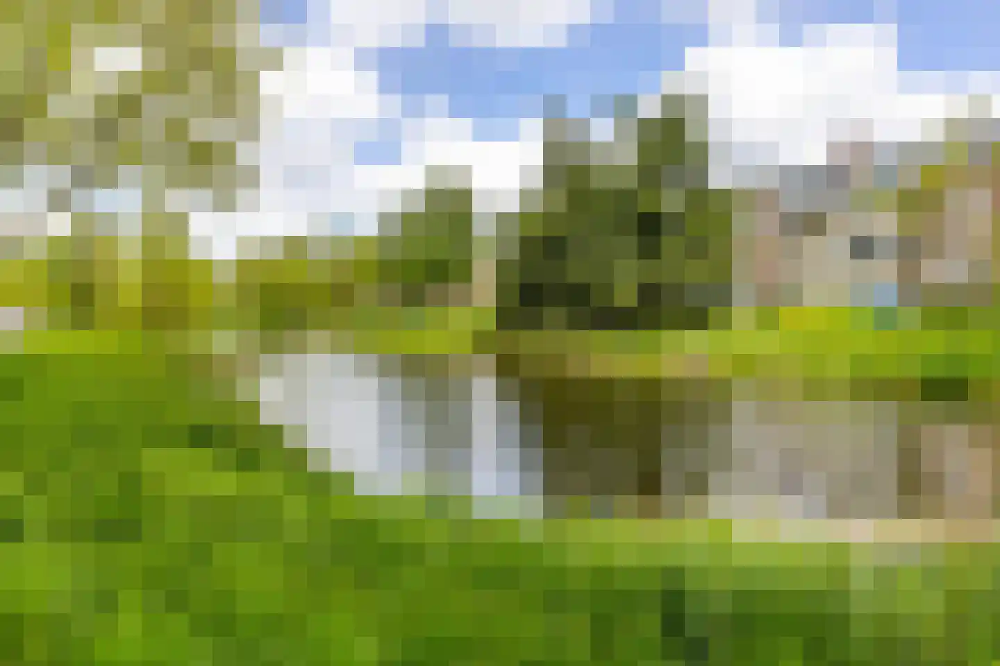 Spieghelstraat 54 Groningen thumbnail 33