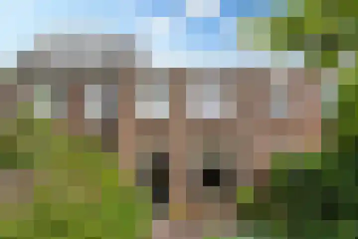 Spieghelstraat 56 Utrecht thumbnail 27