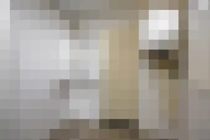 Spieghelstraat 58 Groningen thumbnail 17