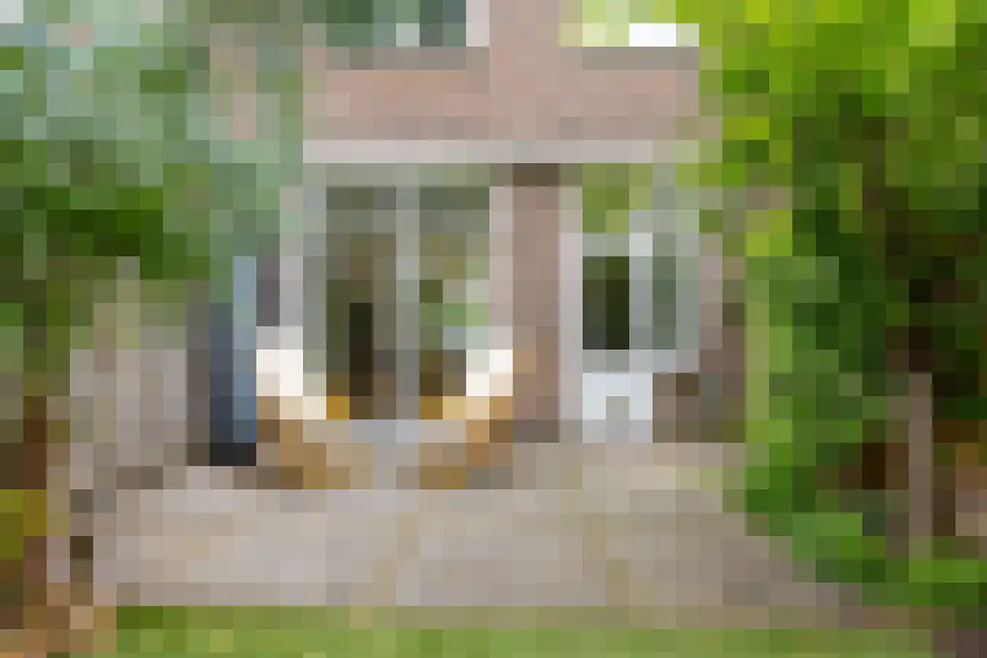 Spieghelstraat 58 Utrecht thumbnail 20