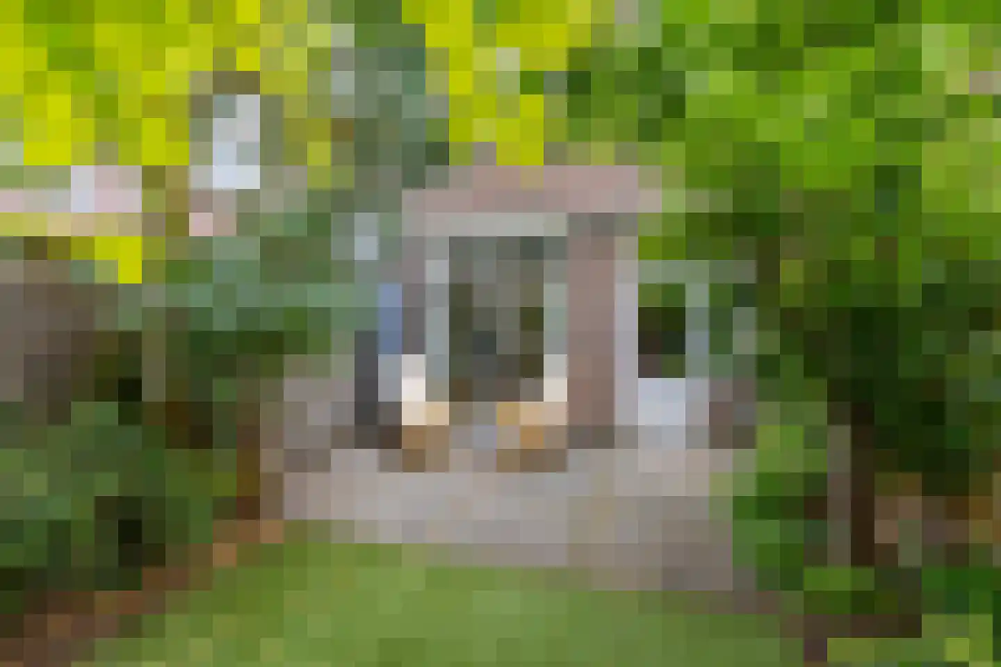Spieghelstraat 58 Utrecht thumbnail 21