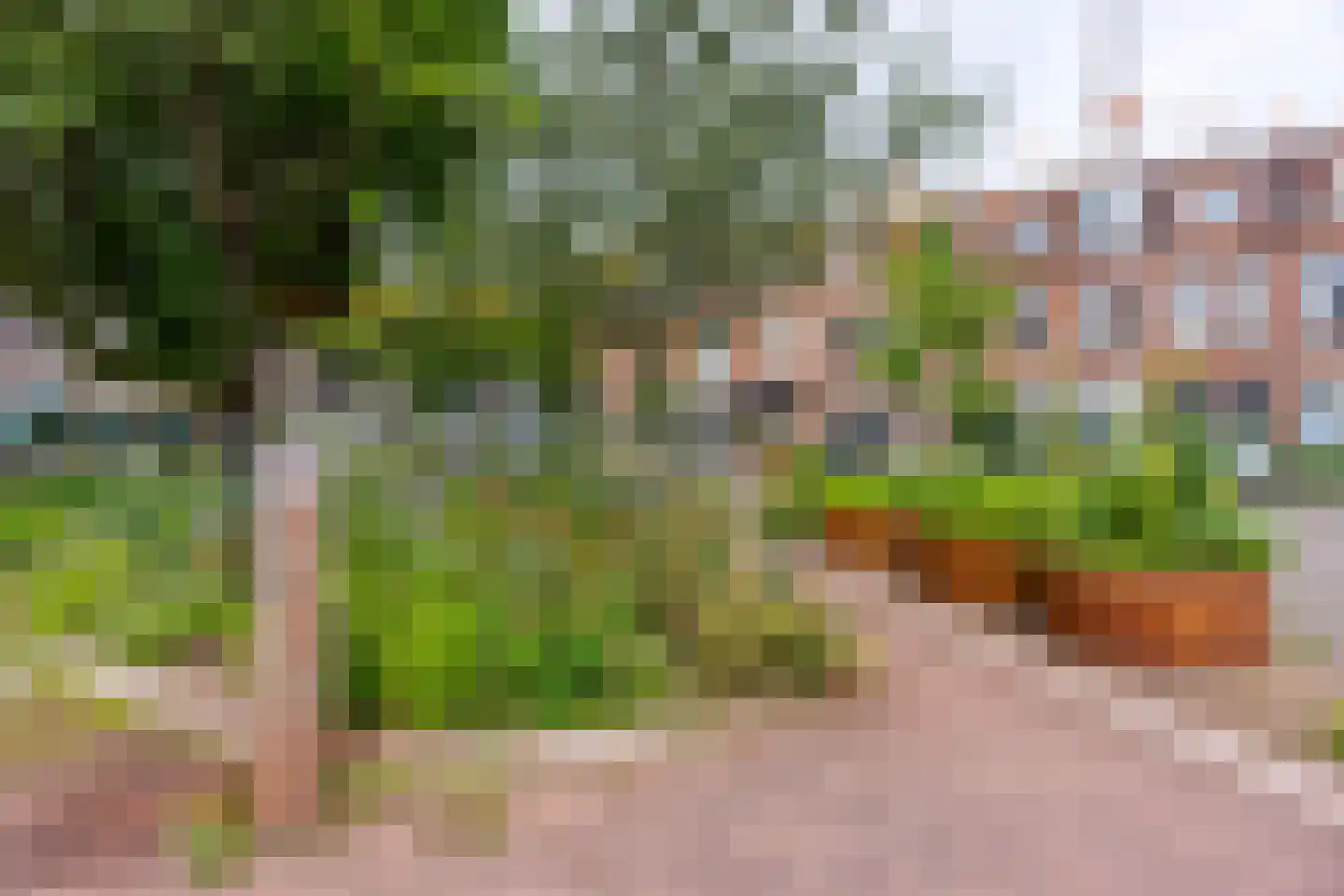 Spieghelstraat 58 Utrecht thumbnail 53