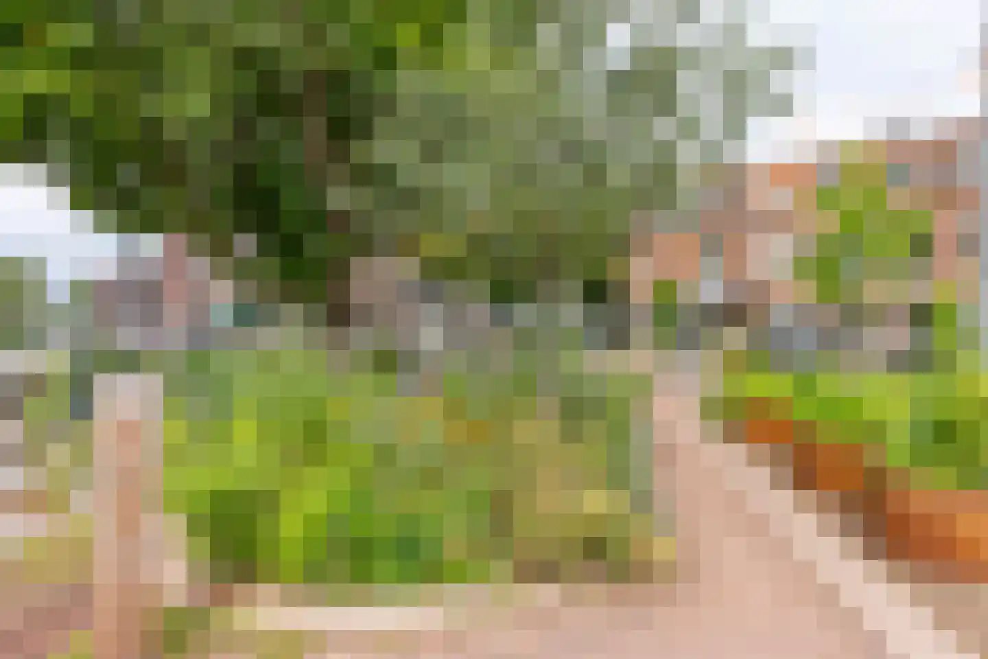Spieghelstraat 58 Utrecht thumbnail 54