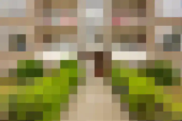 Spieghelstraat 84 Groningen thumbnail 7