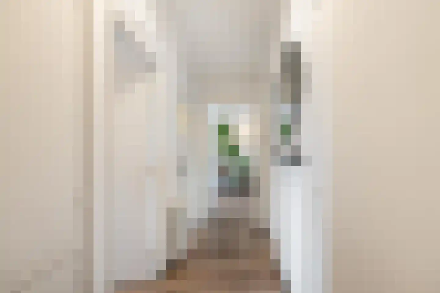 Spieghelstraat 90 Groningen thumbnail 12