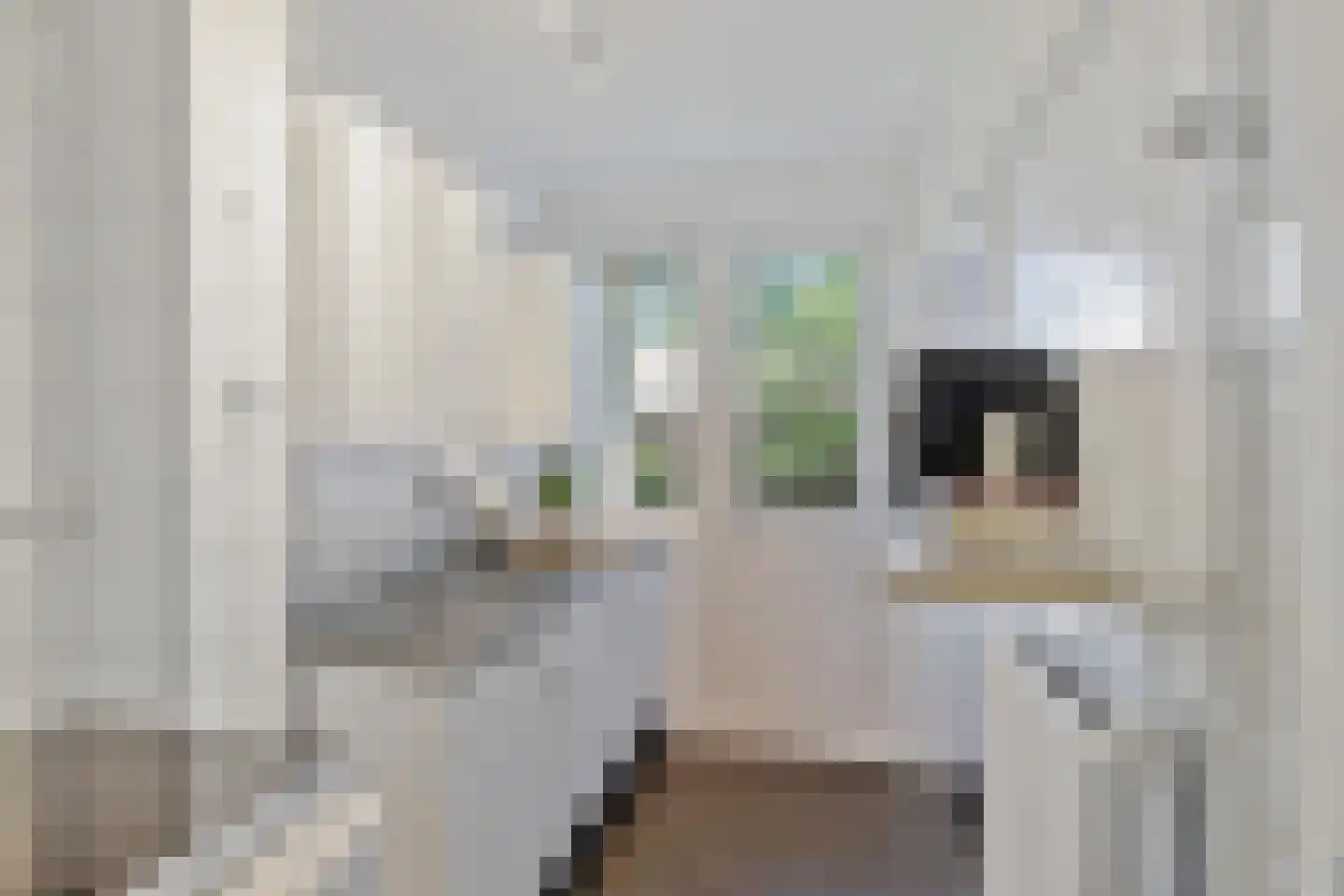 Spieghelstraat 98 Groningen thumbnail 26