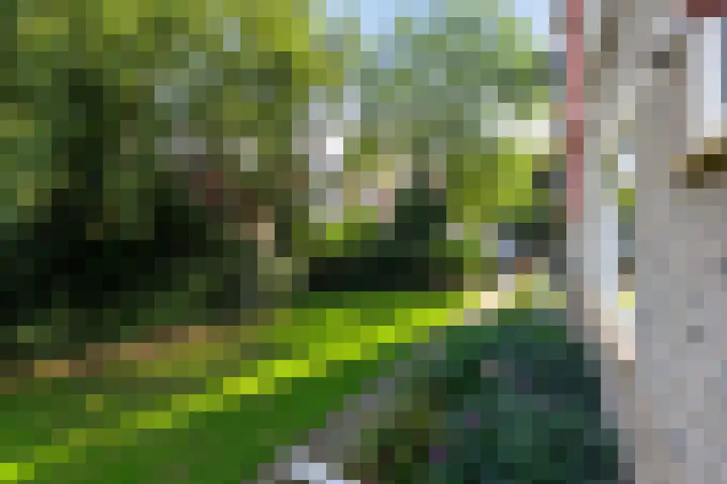 Spieghelstraat 98 Groningen thumbnail 7
